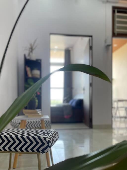 Bark & Bash-Villa-House Τζαϊπούρ Εξωτερικό φωτογραφία